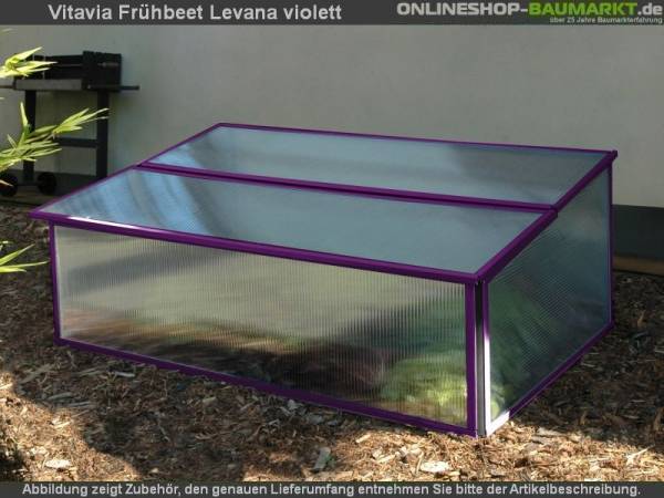 Vitavia Frühbeet Levana, violett Vitavia Frühbeet Levana, violett
